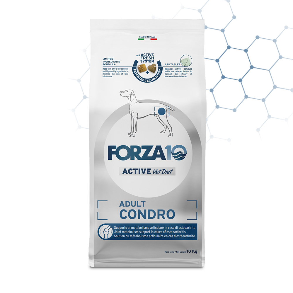 RE ARRIVAL/再入荷 Adult Condro | FORZA10 ドッグフード