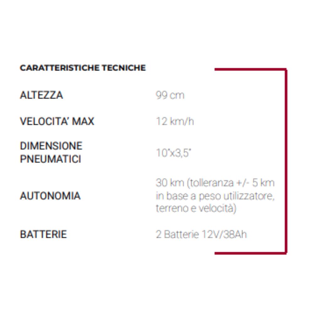 SCOOTER ELETTRICO Gary 