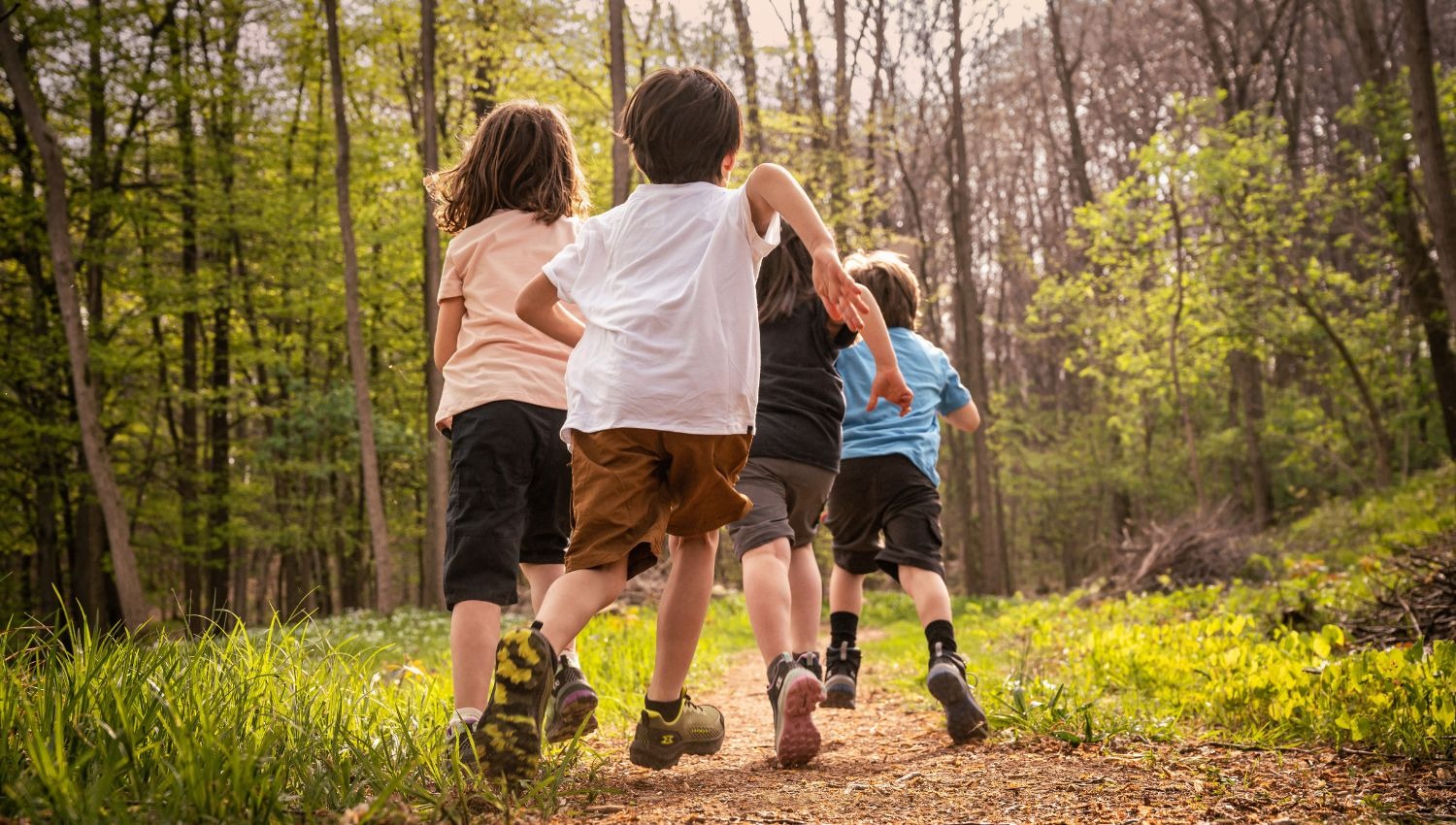 Un gruppo di bambini con le scarpe da trekking Garmont camminano in un bosco.