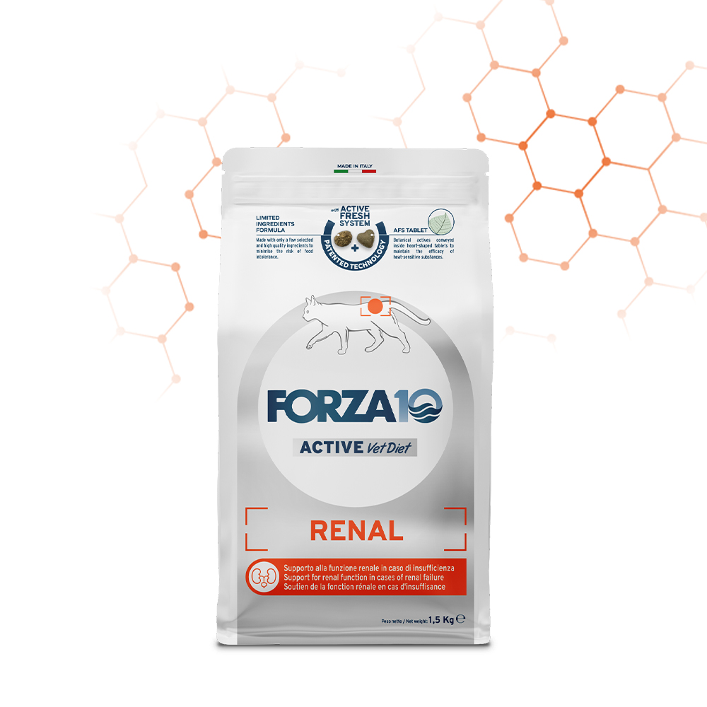 Renal All Size | FORZA10