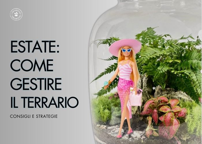 Estate: Come gestire il Terrario 