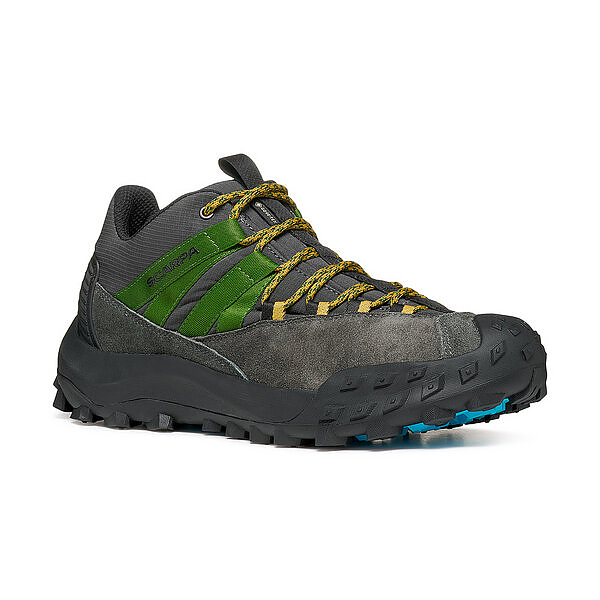 Scarpa ROVE GTX The multipurpose sports shoe