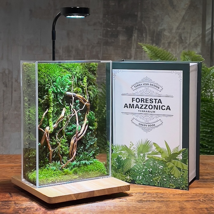 Green Book Terrarium: Cos’è?
