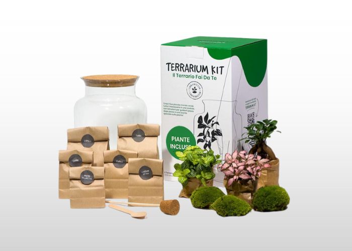 Terrarium Kit: il nostro Terrario Fai-da-Te