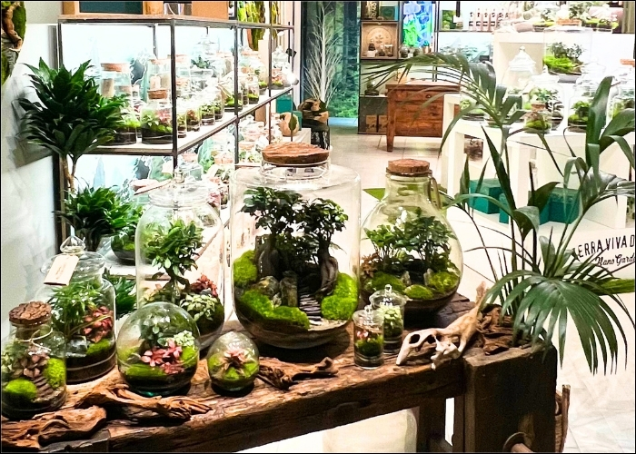 10 Motivi per visitare il nostro Showroom a Bologna questo Natale: dai Terrari al Design! 