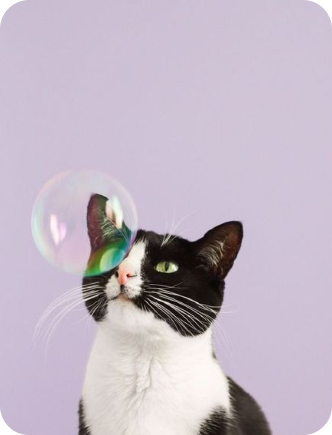 image contact-us form