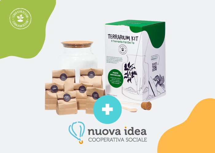 Terrarium Kit: il Terrario Fai-da-Te, ora in due versioni!