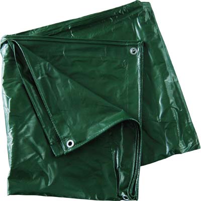 TELONE OCCHIELLATO PVC PESANTE VERDE EFFE GR/MQ 540 MT 6X10