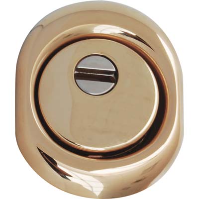DEFENDER MONOLITO BD200 DISEC  OTTONE LUCIDO F.SAG I.MM 38 D.MM 50 H.MM 20 - 2