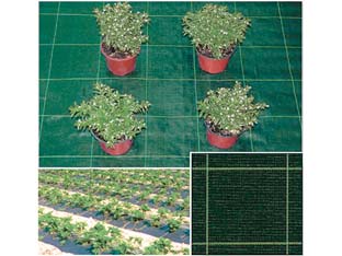 TELO IN RAFIA PER PACCIAMATURA VERDE- - mt.100x1,57h. - 157 mq T-REX