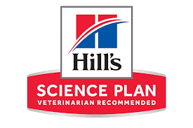 Immagine categoria prodotto