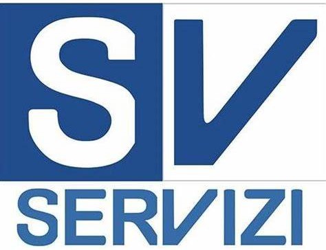 Yanmar Vetus Zf Twindisc Ricambi