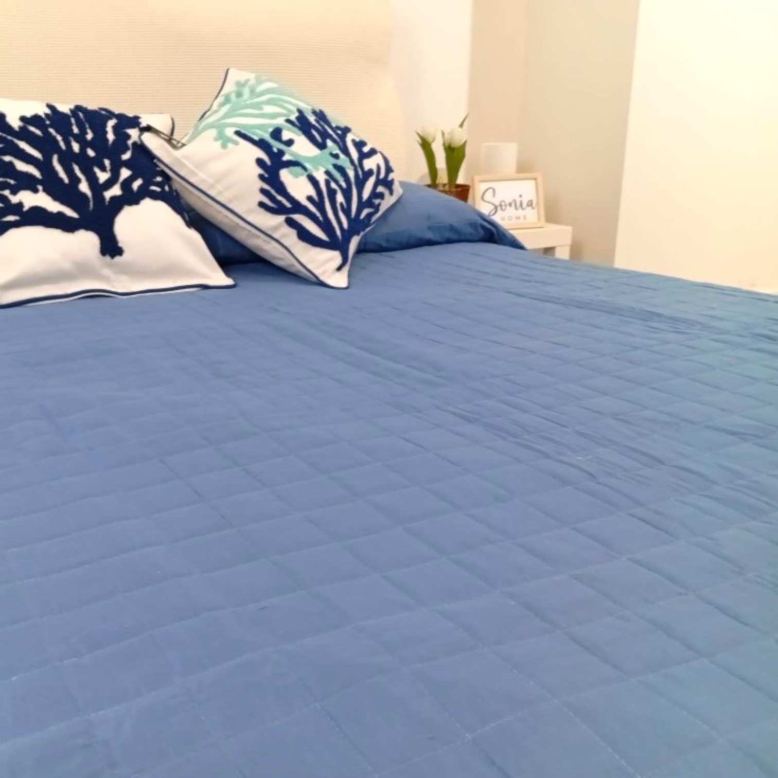 Trapuntino una piazza e mezza Kimmi