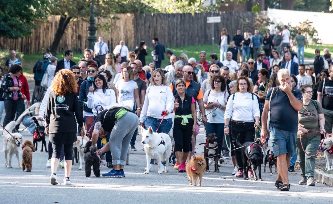 Walking with Fido-alt