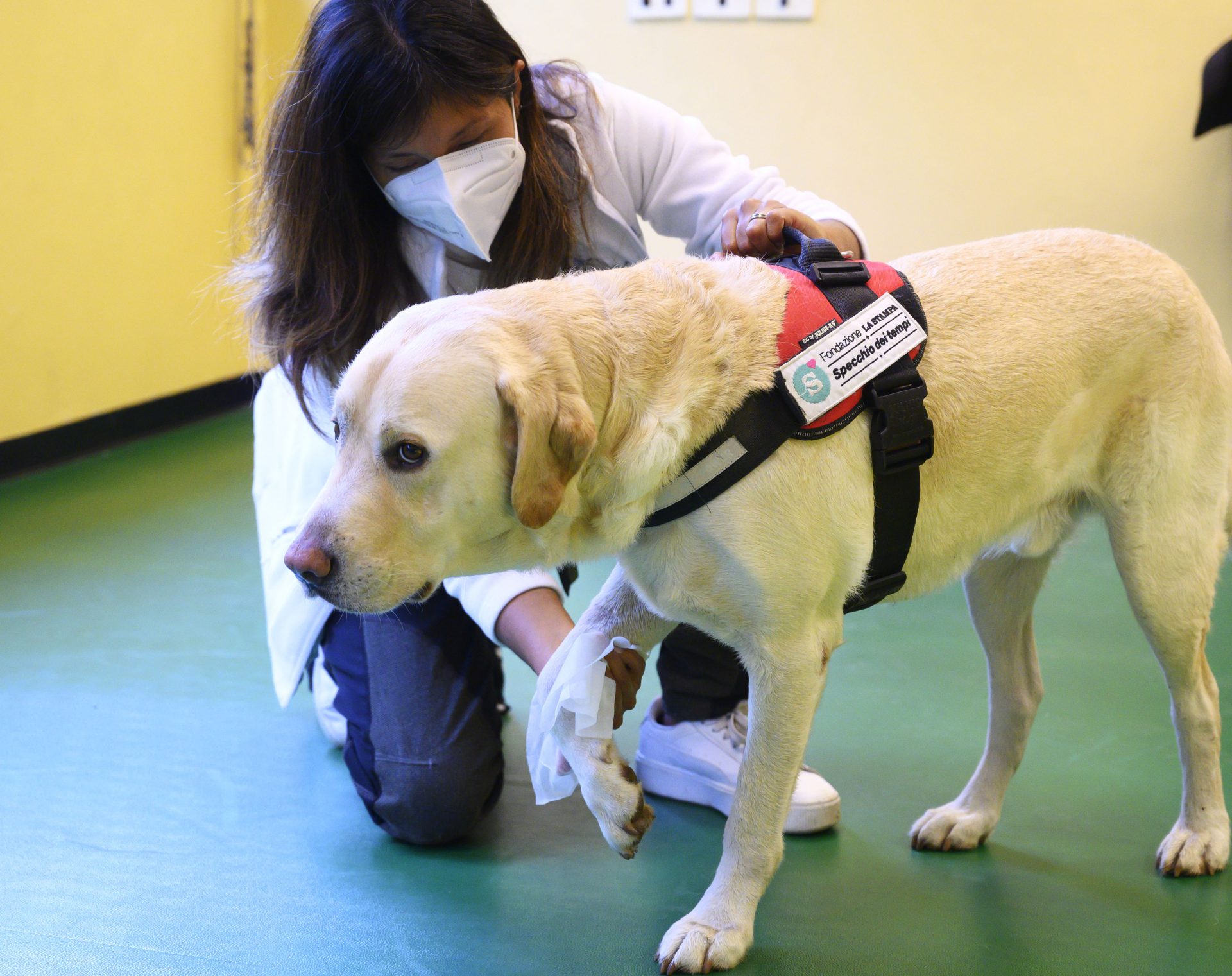 Pet Therapy per la scuola-alt
