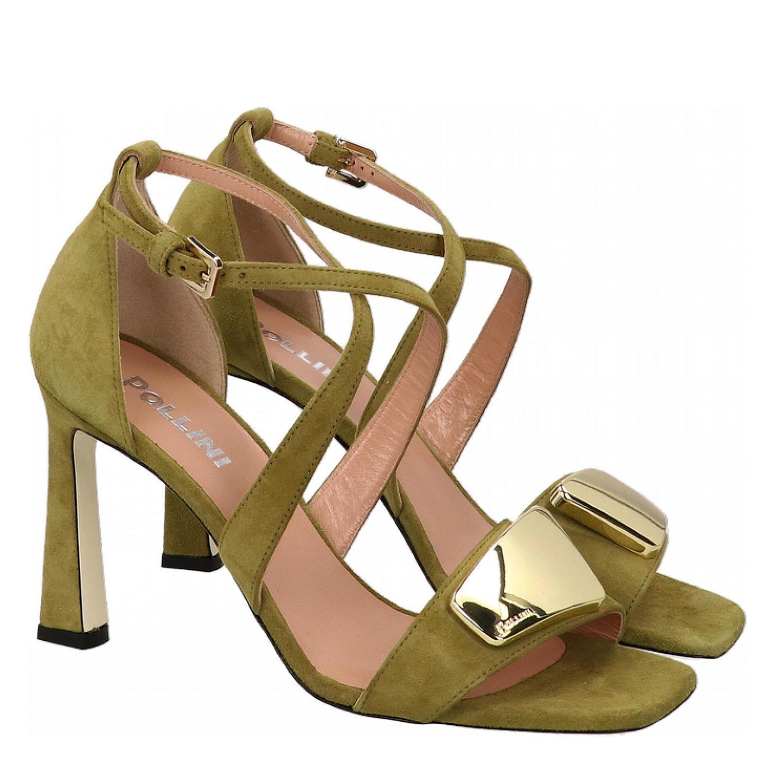 POLLINI
