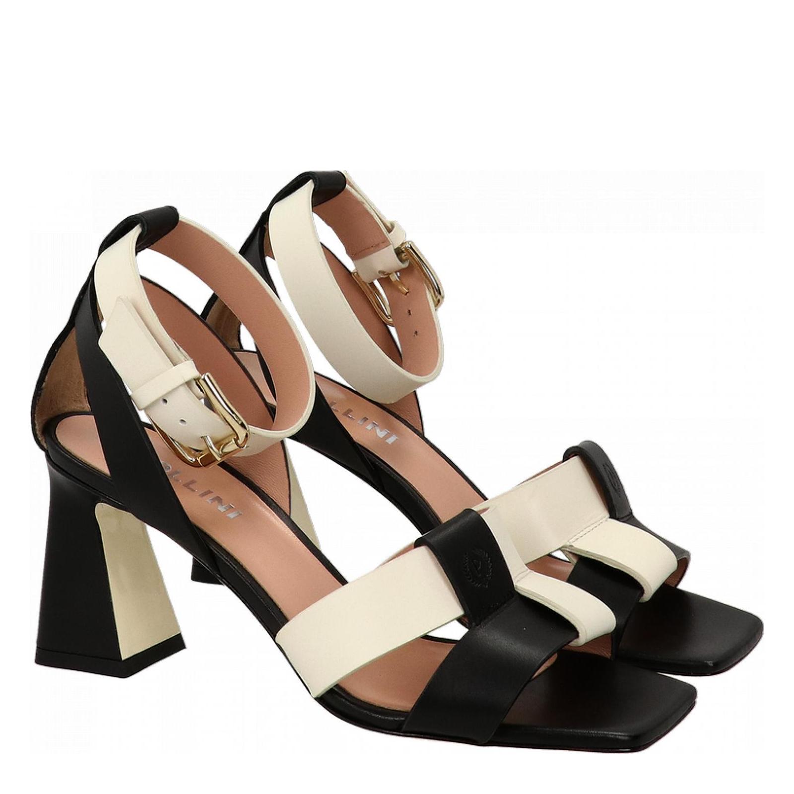 POLLINI