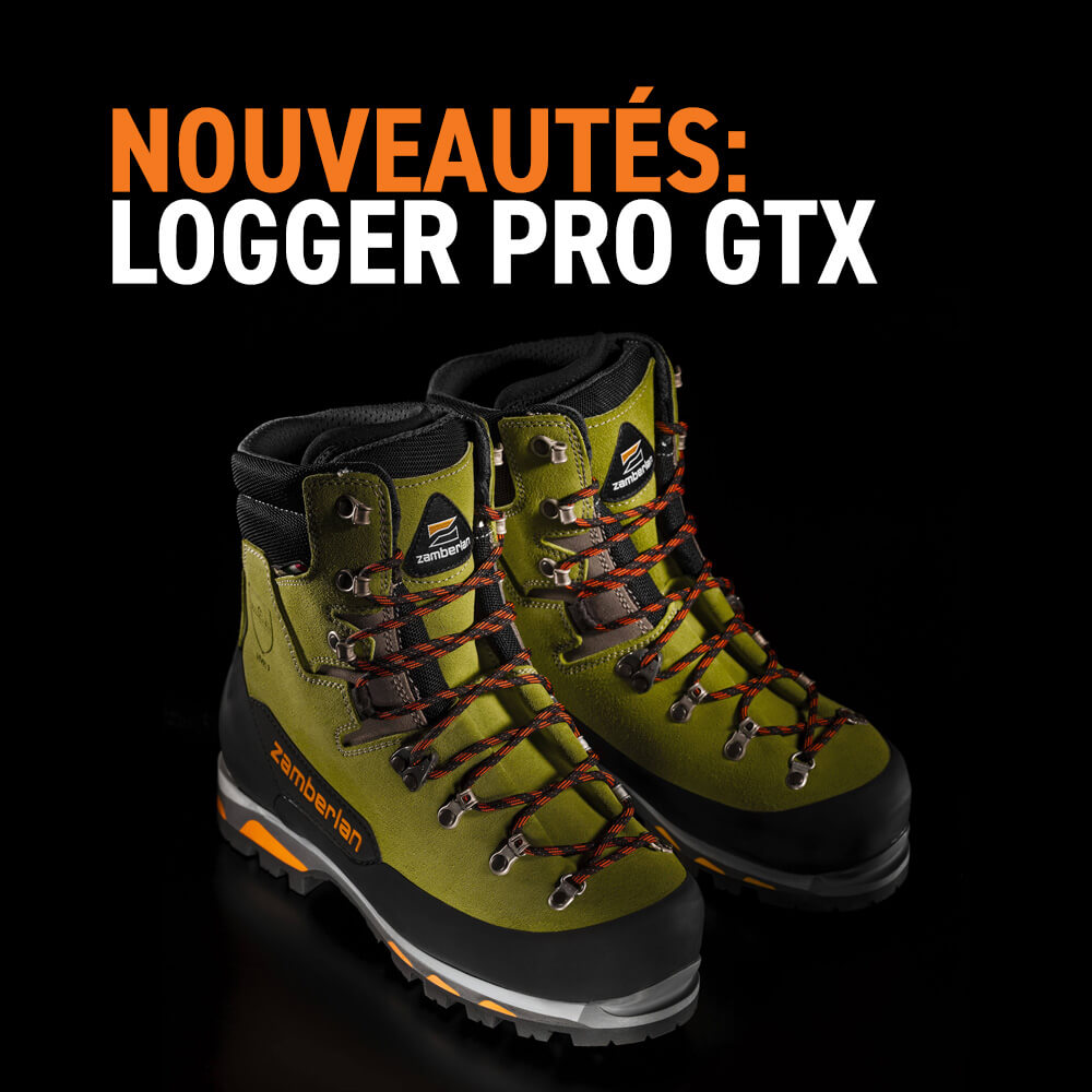 Nouveautes: Logger Pro GTX pour travail