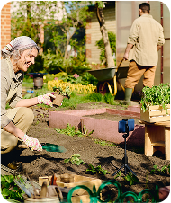 Ispirazione di stagione