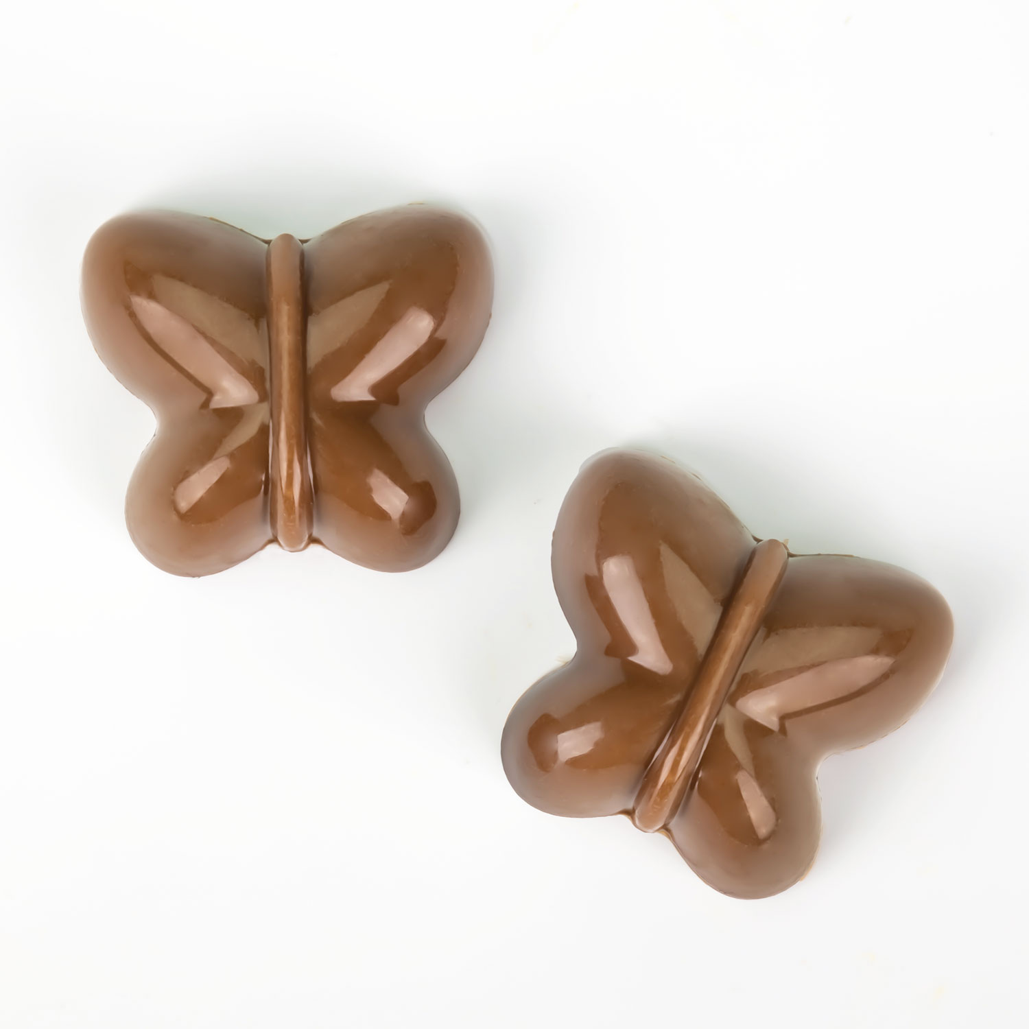 Mariposa