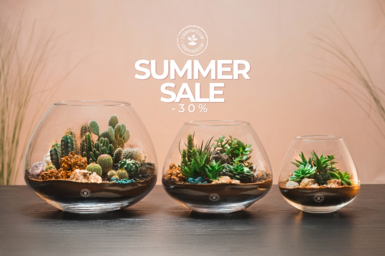 È iniziata la Summer Sale Terraviva: un’estate piena di Verde!