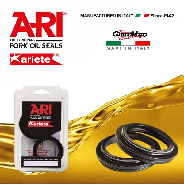Kit Paraoli Forcella ARI 43X54X11 - 3