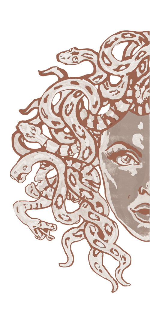 Parte sinistra della Medusa