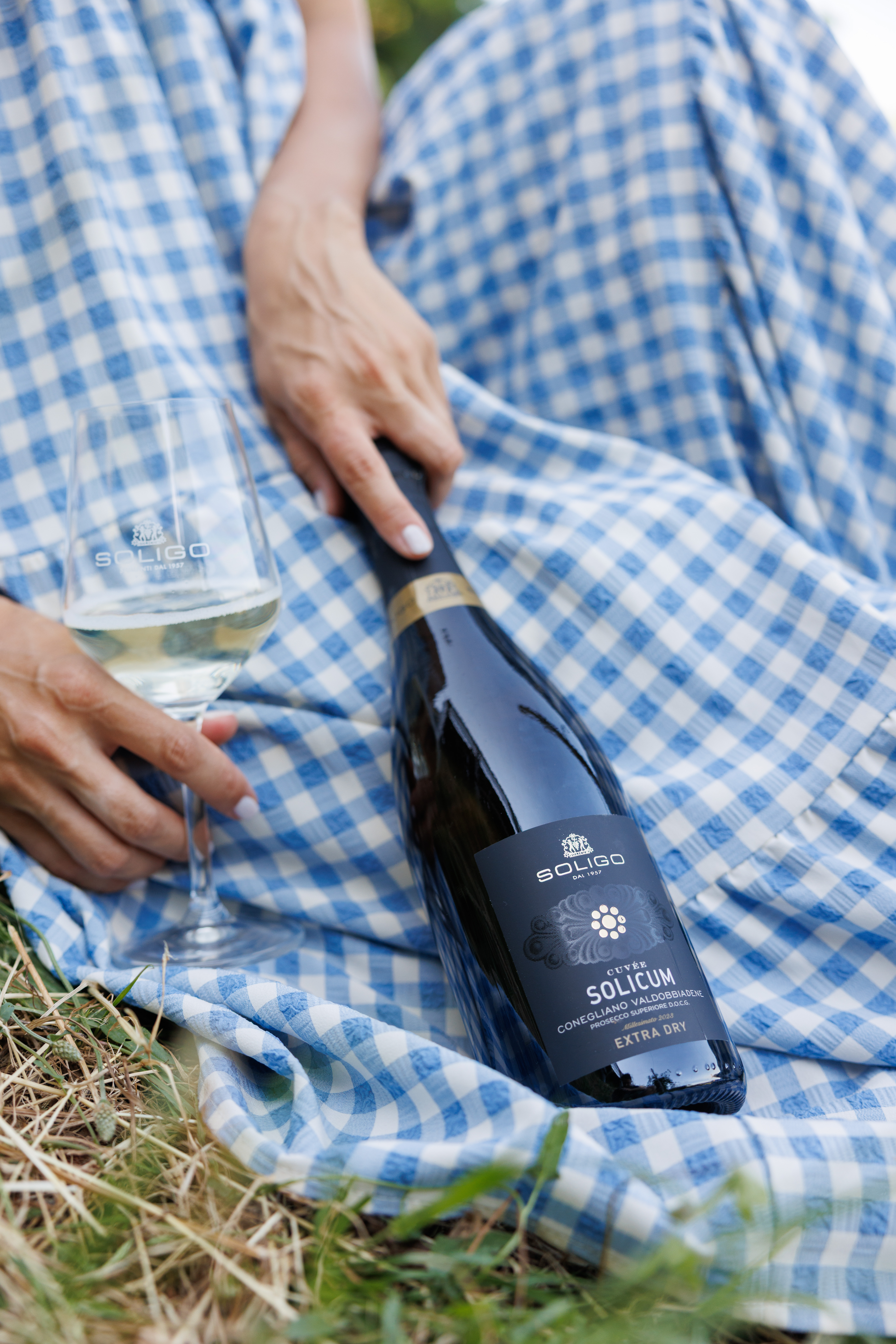 Picnic in vigna a Valdobbiadene: location, idee e consigli