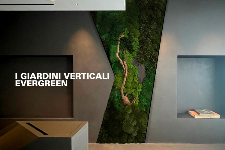 Portare il Verde in Casa o in Ufficio: la soluzione 100% naturale e su misura