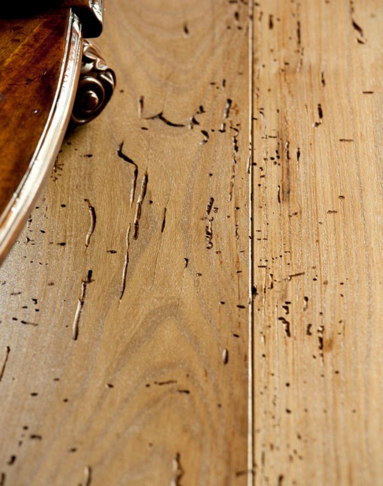 parquet in legno olmo antico con effetto tarlato