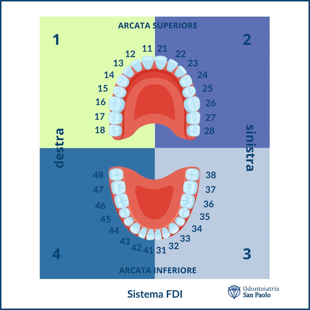 sistema di numerazione denti FDI