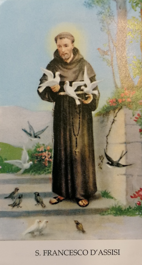 Santino San Francesco D'Assisi cm 10x6 (30-50-100 pezzi)