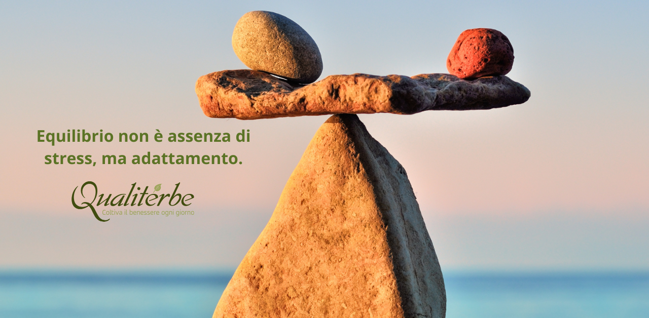 Cosa sono le piante adattogene | Qualiterbe
