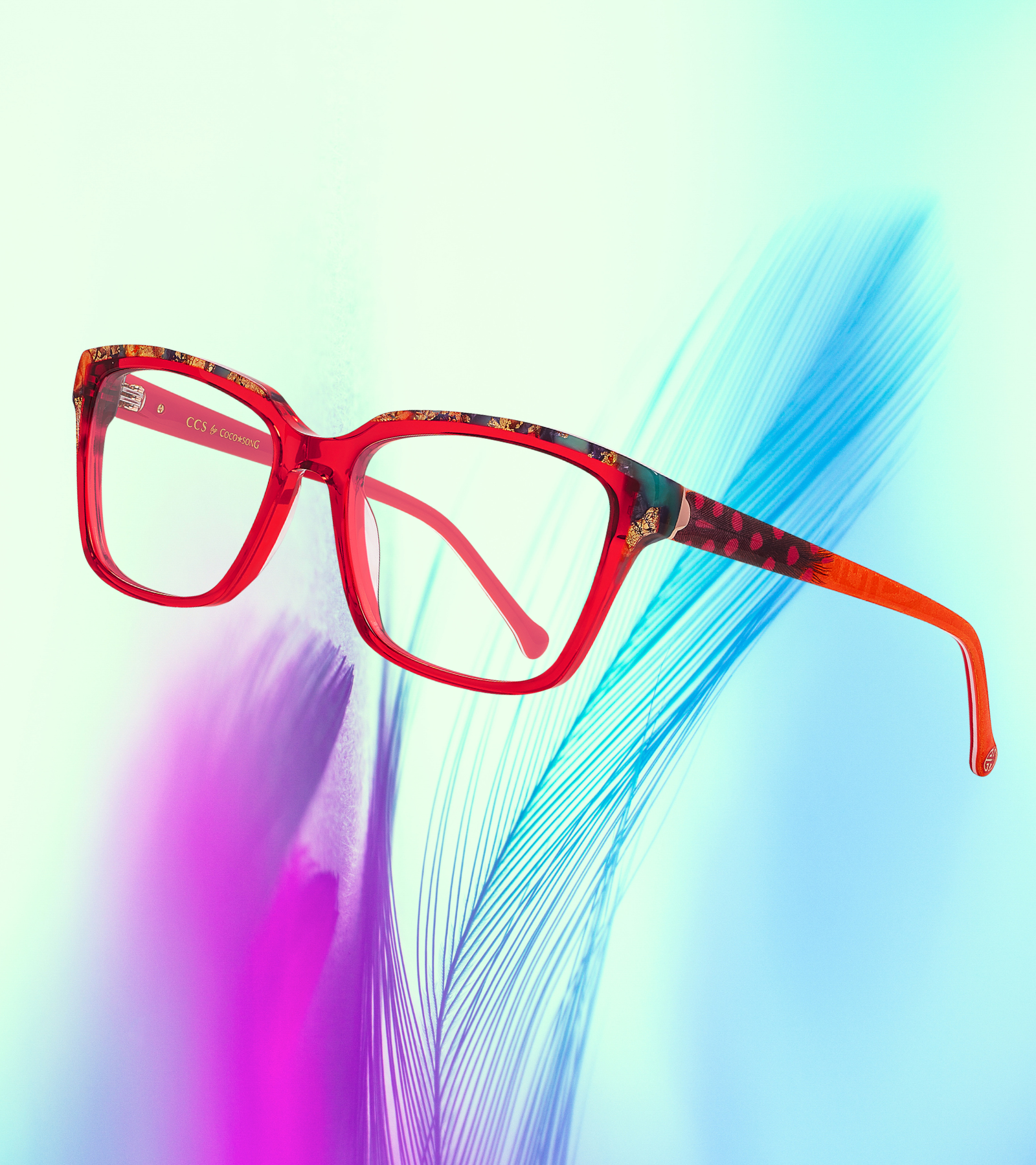 Model glasses CCS