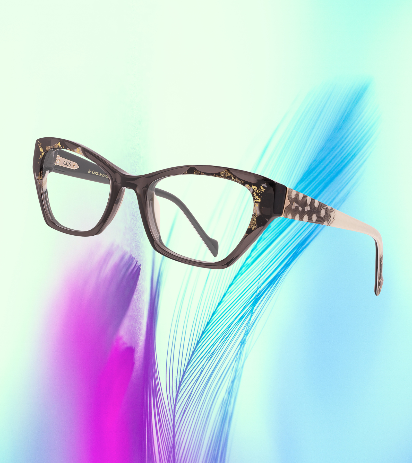Model glasses CCS