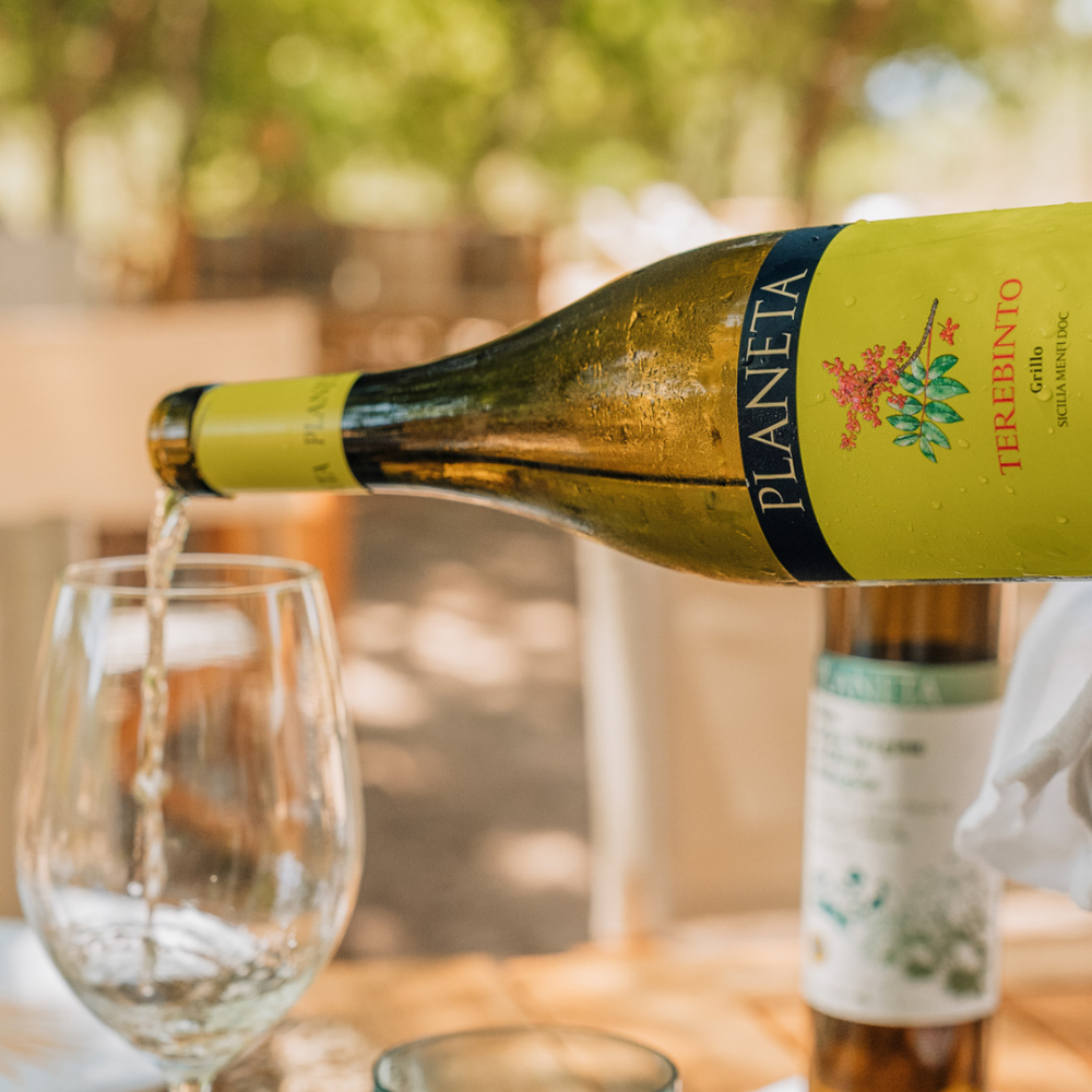 TEREBINTO GRILLO BIANCO BIO 0,750 - DOC MENFI