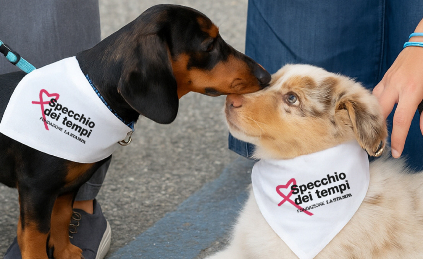 A spasso con Fido-image