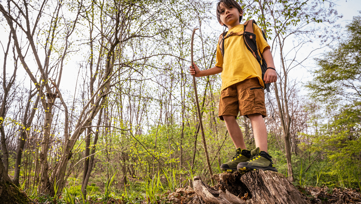 Niño con mochila y bastón de madera de pie sobre un tocón, en medio de un bosque primaveral