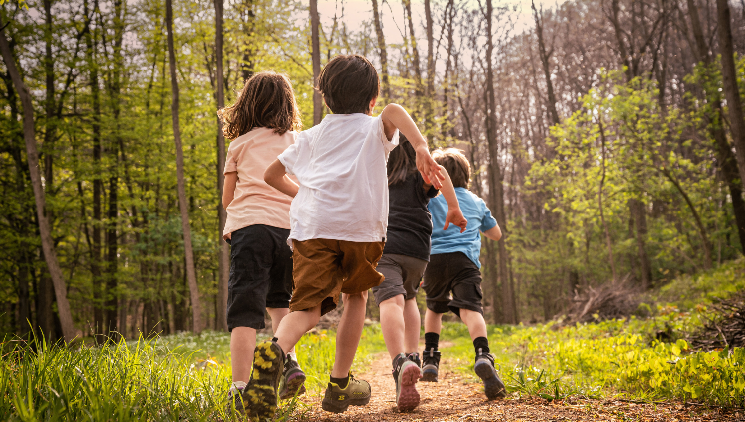 Grupo de niños corriendo por un sendero en el bosque, rodeads de árboles y vegetación verde
