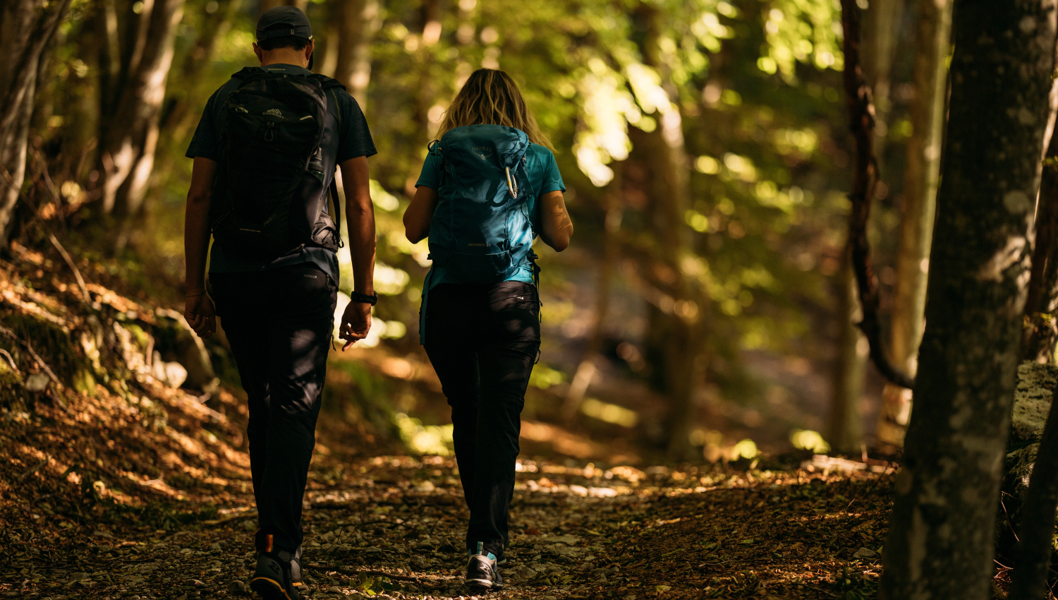 Due escursionisti camminano lungo un sentiero boschivo, circondati da alberi e luce filtrata tra le foglie, con zaini in spalla e abbigliamento sportivo
