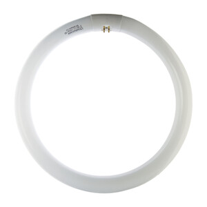CIRCOLINA 32W G10Q 2000LM 6500K- 12,0 pz