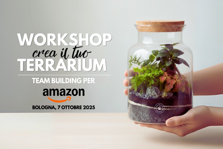 Workshop Terraviva Design: Team Building con Amazon