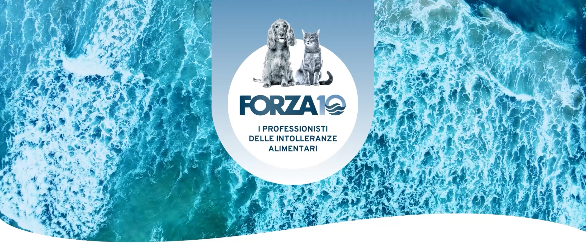 FORZA10