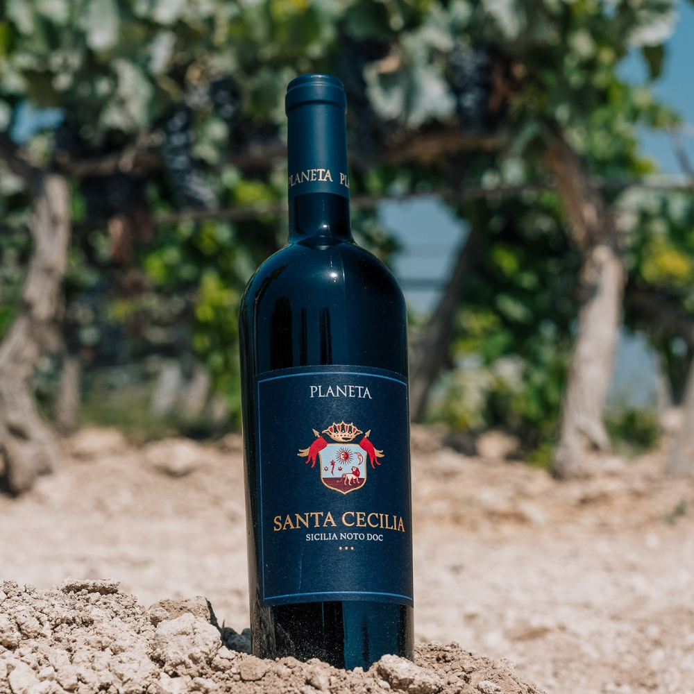 SANTA CECILIA ROSSO BIO 0,750 - DOC NOTO