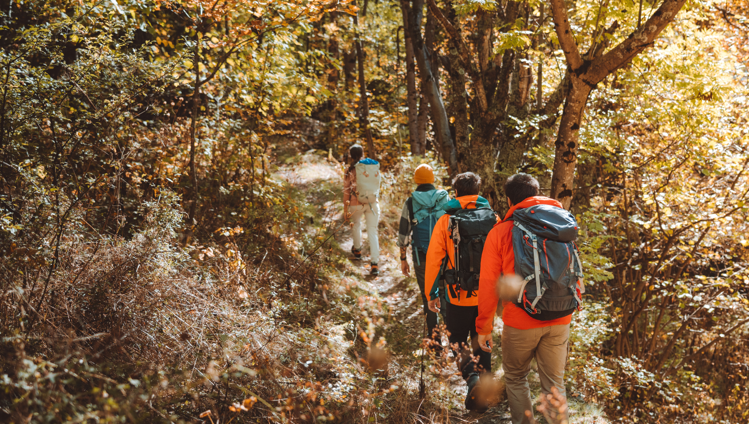 Excursionistas caminando por un sendero panorámico entre arbustos otoñales.