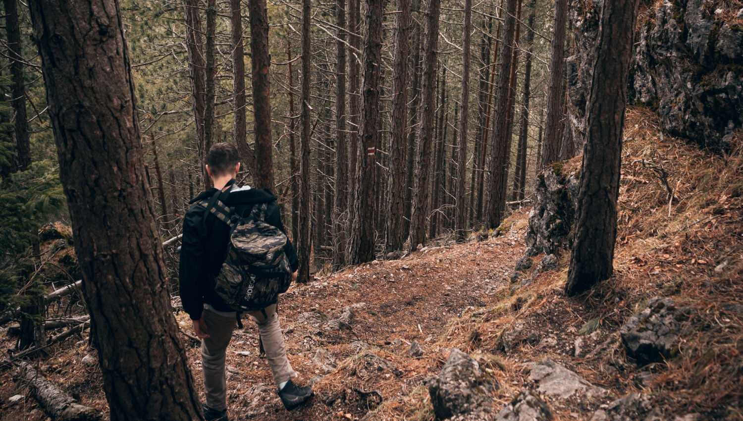 Joven con mochila descendiendo por un sendero boscoso entre árboles altos.