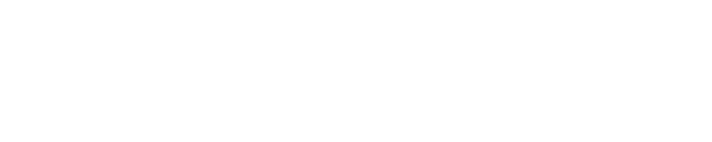 Vivida International