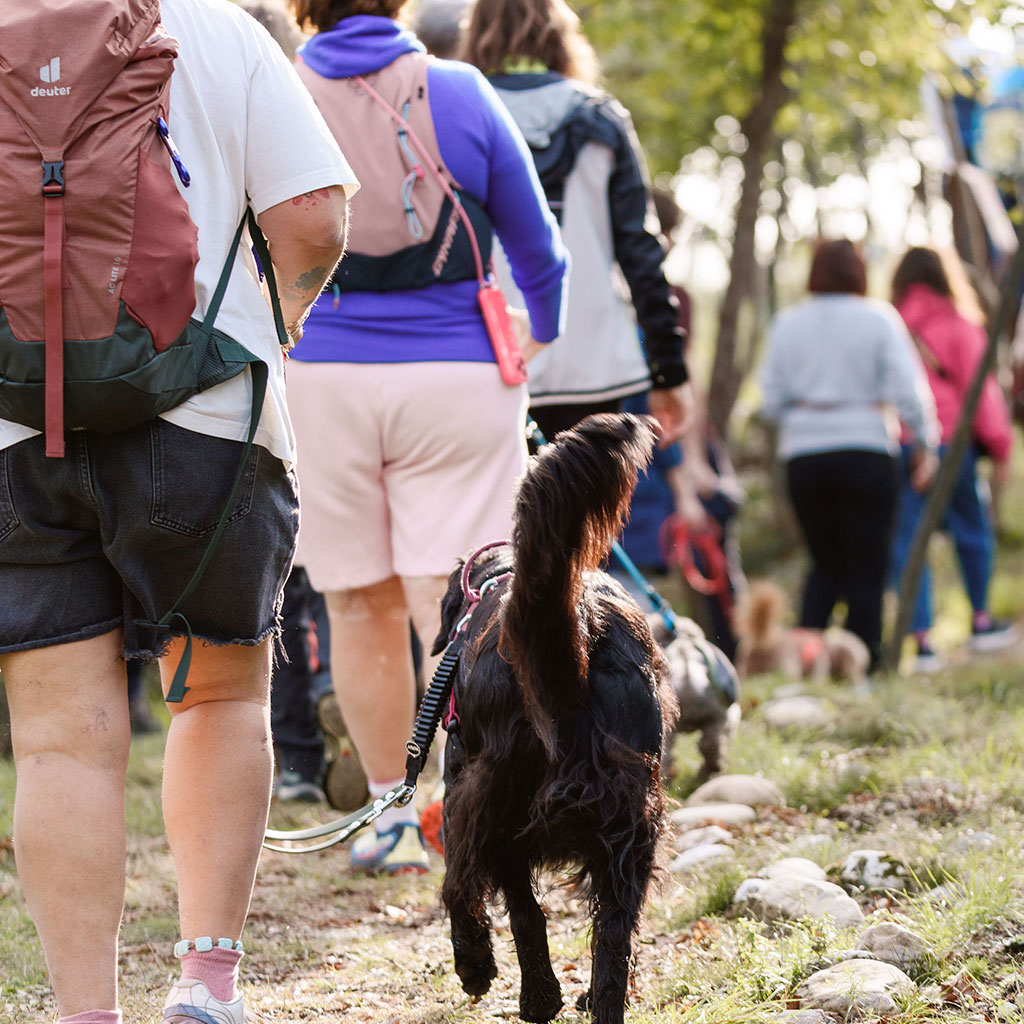 Passeggiata nel bosco: libertà, natura… e le giuste accortezze.