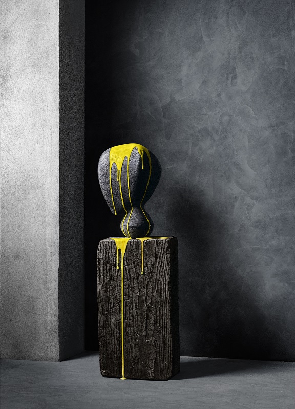 Novacolor color trends 2026