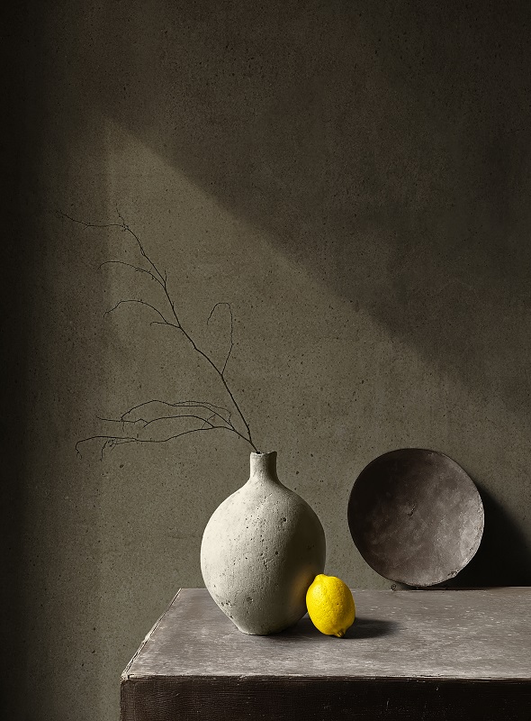 Novacolor color trends 2026